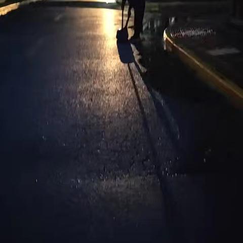 微风清荷的简篇