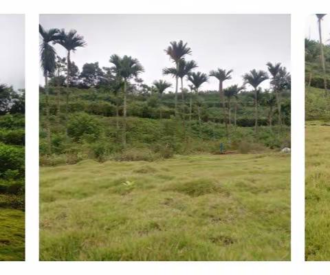 绿水青山就是金山银山 母瑞山农场公司矿山生态修复记