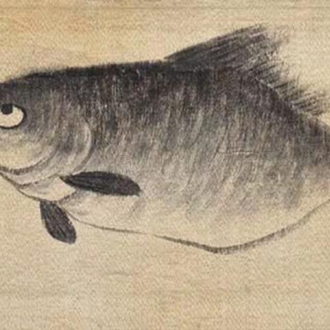 传统文化中的那些鱼