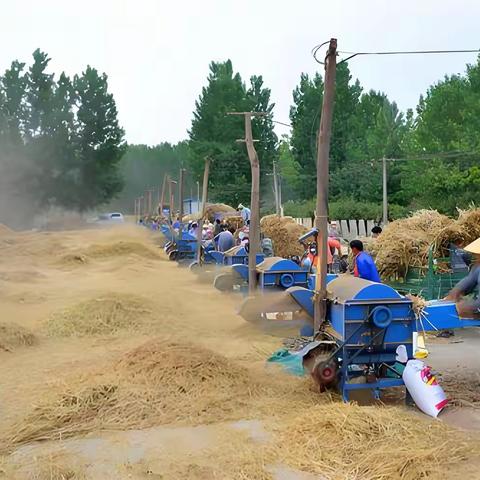 农忙时节手外伤第一时间怎么处理？