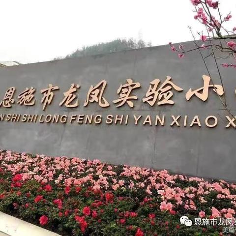 龙凤实小逐梦人——踔厉奋发，砥砺前行（2024年春数学教研组工作总结）