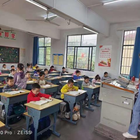 绿阴冉冉，浅夏悠悠——会同县堡子镇小学第十二周值周总结