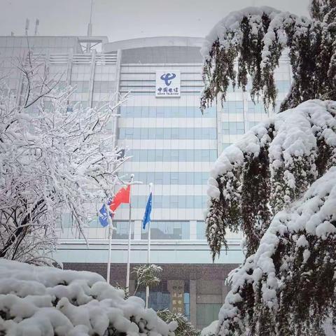 迎战低温雨雪冰冻天气 中国电信湘潭分公司全力以赴保通信