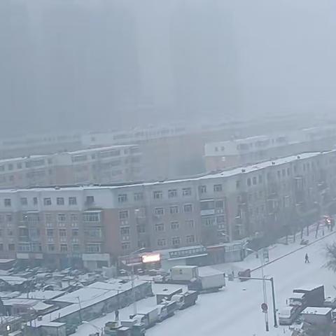 瑞雪银装素裹，我行激情澎湃 龙江银行龙沙支行除雪活动摘记