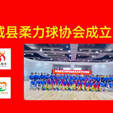 热烈祝贺舒城县柔力球协会成立大会圆满召开