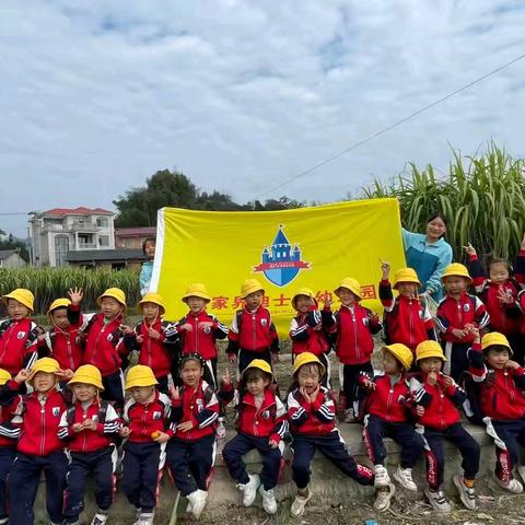 张家界市永定区迪士堡幼儿园 甜到心头的“蔗”里时光 ——记中二班采甘蔗实践活动