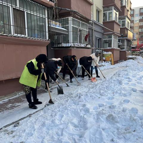 【城乡路街道迎宾社区】开展清雪除冰在行动，党员先行暖人心志愿服务活动