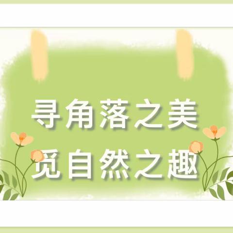 『一隅小角，万物生机』——乌鲁木齐市第九幼儿园植物角创设活动