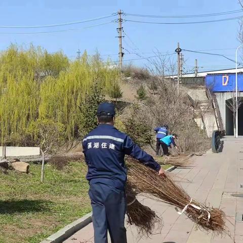 溪湖区住建局积极推进市容市貌整治工作，全面提升城区人居环境质量