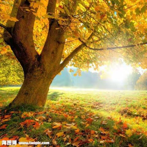 女性团体沙游成长营