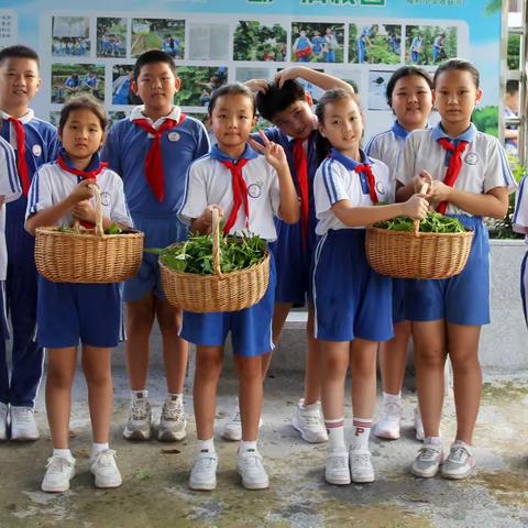 新湖街道楼村小学荔香花园共建花园第四季度运营活动