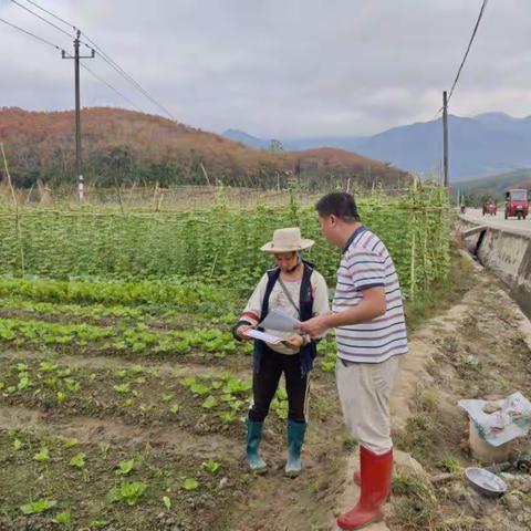 毛阳镇开展节前农产品质量安全科普宣传工作