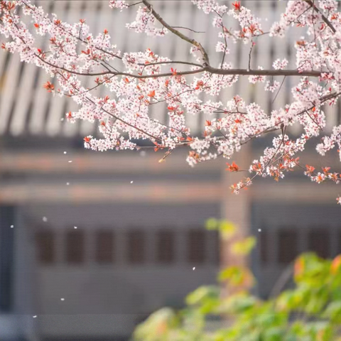 孔学堂物业服务中心2025年 ‍第一季度工作汇报
