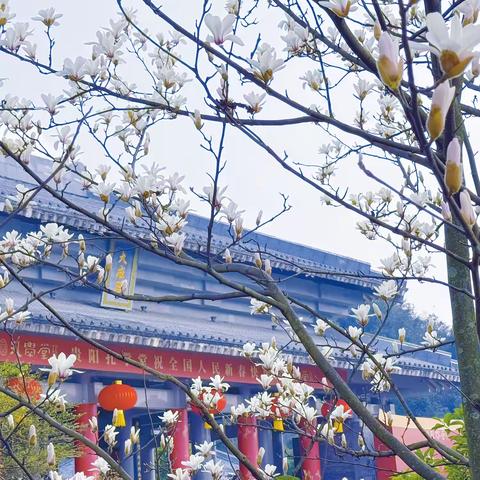 贵阳物业集团孔学堂物业服务中心  ‍2026年第一季度工作汇报