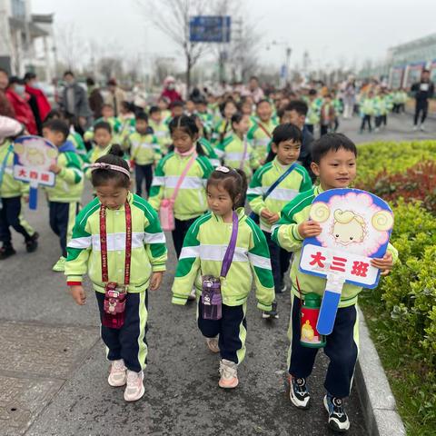 大三班｜初探小学 感悟成长