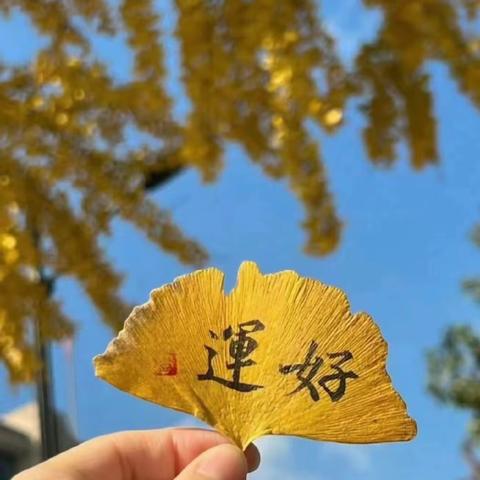 时光不止，源远不止~ 2023-2024年度总结 四（16）