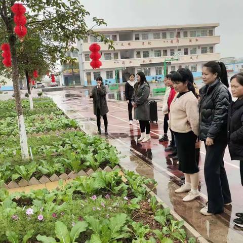 【家校齐育】共赴冬约  齐育花开——桂平市油麻镇勒竹中心小学家长开放日活动