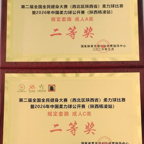 柔力飞扬 载誉而归！武功县柔力球一二队闪耀2026中国柔力球公开赛（陕西杨凌站）