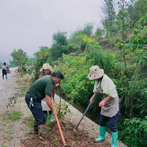 “绿美乡村”行动有我