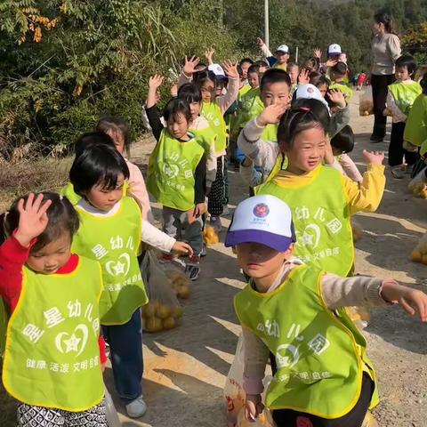 【永丰街道星星幼儿园】邂逅初冬，享受自然——星星幼儿园“果然有味采摘”游学活动