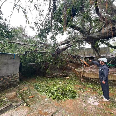 攻坚克难，汇聚灾后恢复“动力源” 	-－记抱珍村党支部灾后恢复重建事迹