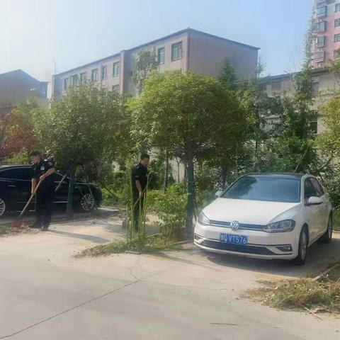 高温下的“特殊任务”：从金融卫士到环境管家