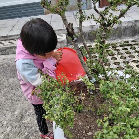 箐花幼小