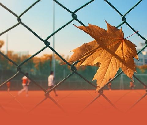 粉笔凝智慧  板书展风采——盐镇中心校教师板书设计大赛