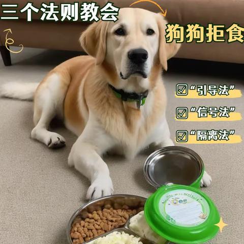 狗狗如何拒绝吃别人给的东西？🔍