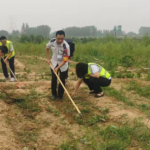 小菜园除草记