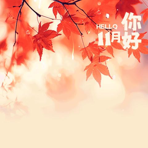 花语鲜花坊——开业花篮