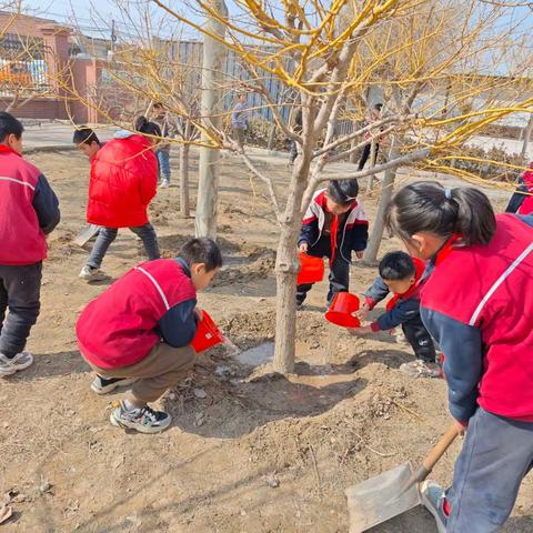 【全环境立德树人】王集小学植树节活动