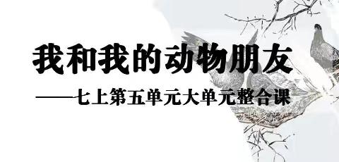 介休三中七上第五单元“活动·探究”单元项目成果展示—一七年级527班