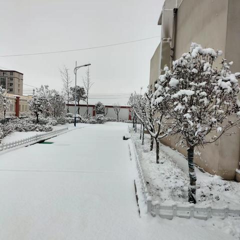 清扫积雪，温暖校园 王庄镇德雅幼儿园