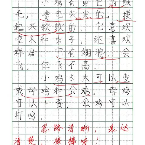 二上写话