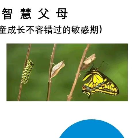 【杜城街道龙湖紫宸社区】解锁婴幼儿成长密码，医保政策暖心护航——龙湖紫宸社区公益讲座