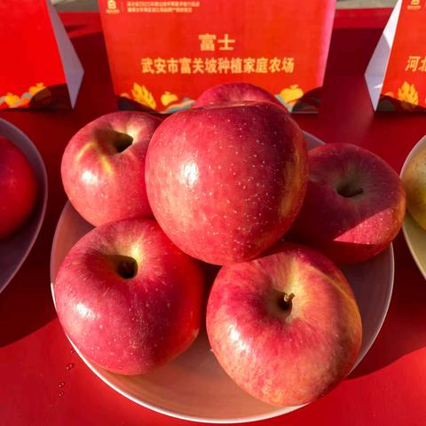 “苹味上乘，果然高端”，武安山地苹果连续五年荣获金奖
