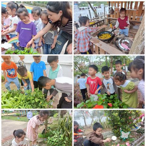 赴春天之约，奏响春日主旋律——记化州市良光镇中心幼儿园开展春天主题活动