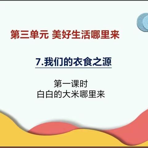 粮食来之不易，珍惜劳动成果——定城镇中心学校道德科教学校级评比简报