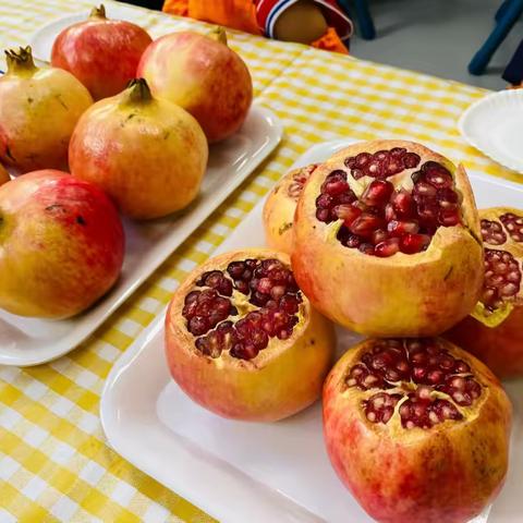 衡州爱乐幼儿园 ‍生态课程—制作石榴汁