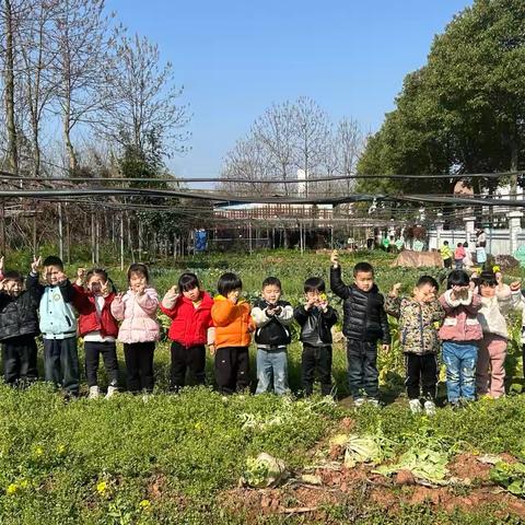 爱上幼儿园，快乐“美”一天———衡州爱乐幼儿园一周精彩回顾