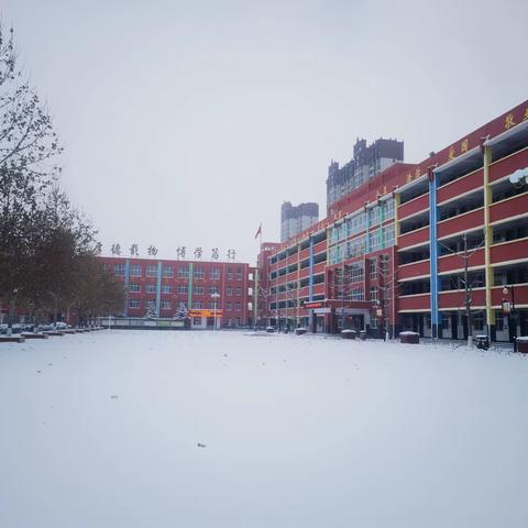 雪花纷飞洒校园   扫雪除冰暖心间——内黄县第七实验小学除雪保学活动