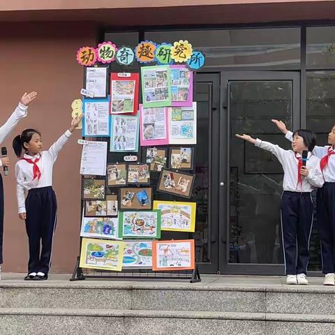 德信现代小学5.2班级周报