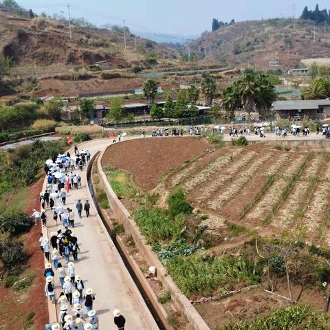 高二学子春日逐风，徒步丈量青春之路