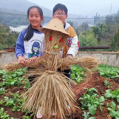 巧手扎稻草，劳动来创造——禄劝民族小学五年级劳动实践活动