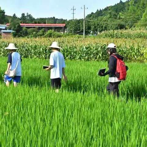 【青春向西行】宝藏职业大发现！这些扎根泥土的新角色，帅翻了！——小教2302李佳颖