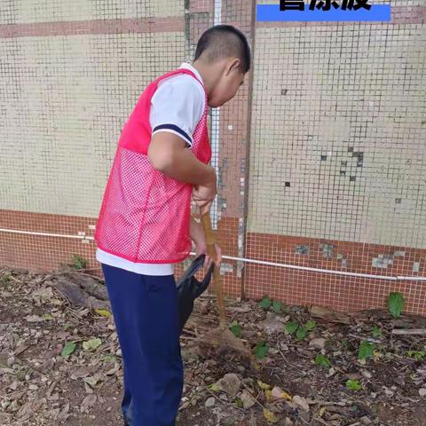 劳动实践，为校园增添色彩