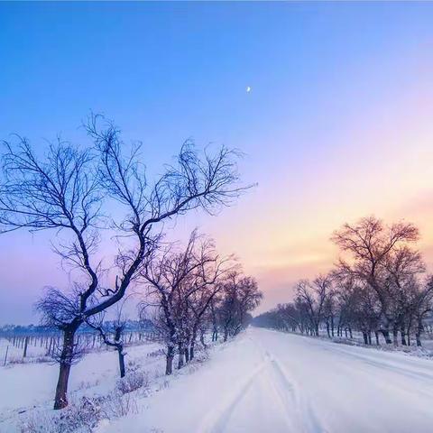 “大雪满校园，扫雪暖人心”榛井峪联办小学教师扫雪纪实