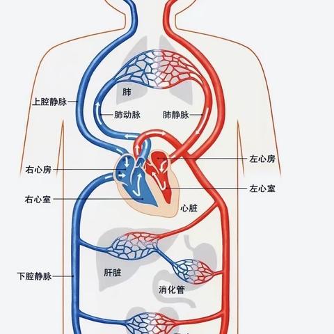 世上唯有健康，才是所有美好的入场券。