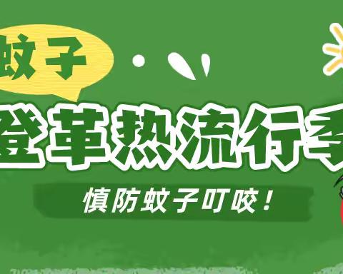 夏日防蚊·预防登革热——翰林镇青青嫩叶幼儿园预防登革热宣传活动